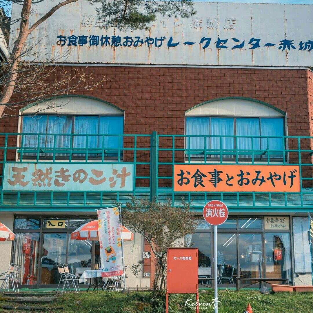 你家可爱不曾爱你