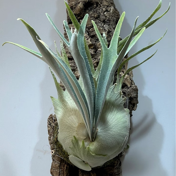 哈哈哈11还🥵🥵🥵🥵🥵🥵🥵