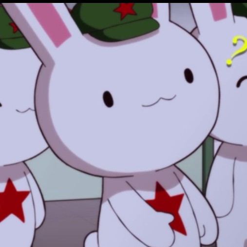 那年那兔那些事儿