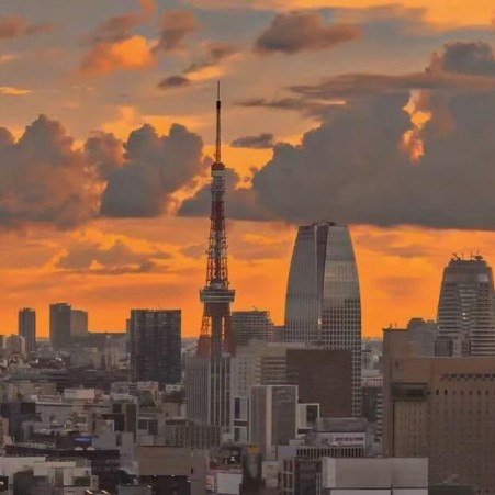 相手が入力しています