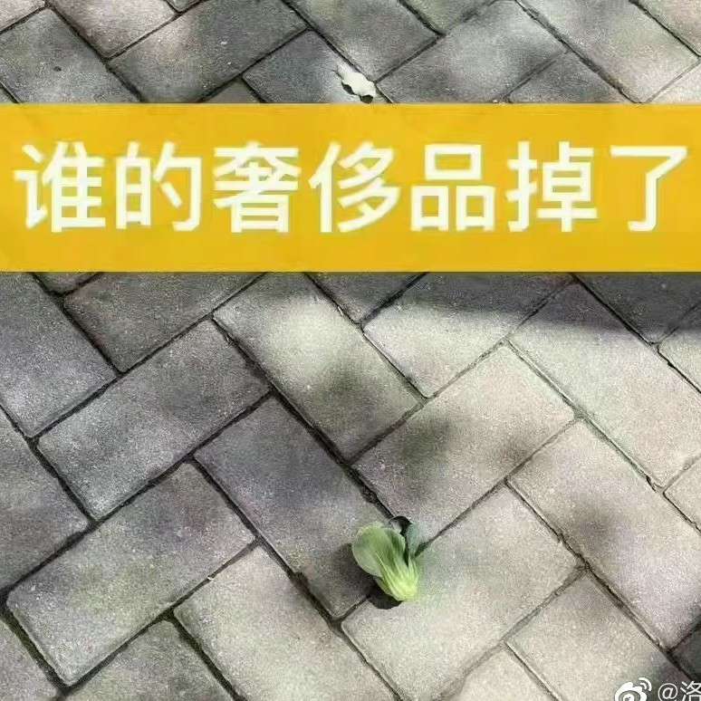 必须要一个搞笑合集了