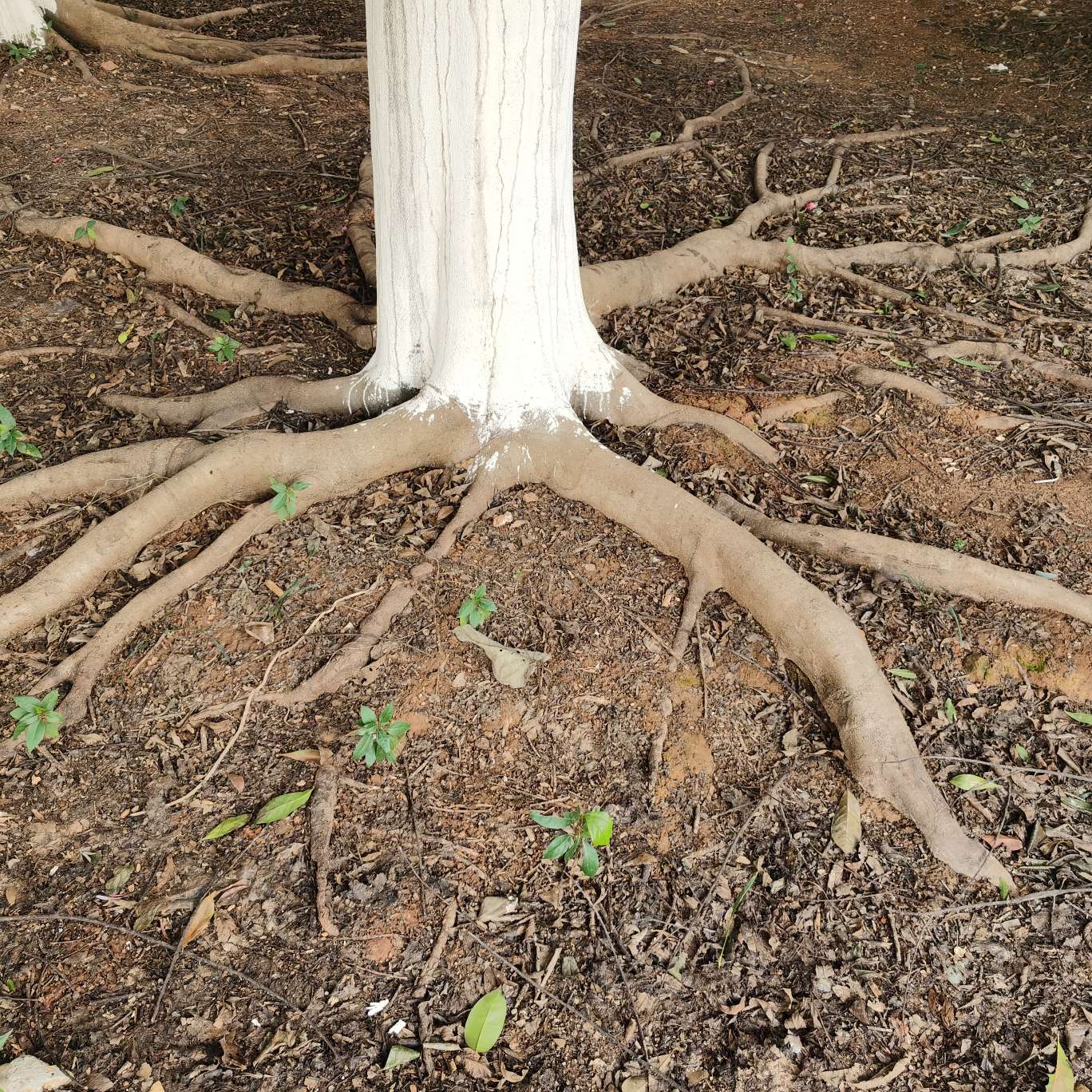 万物可期 人间值得