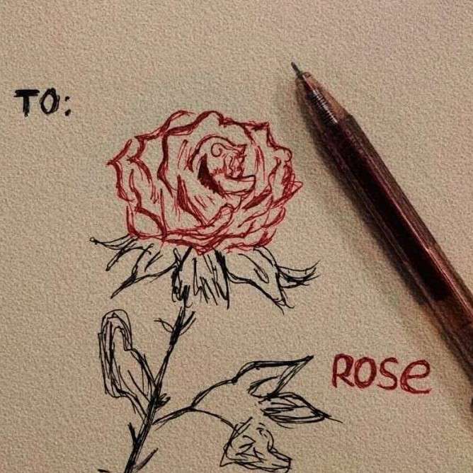 玫小姐的句子收藏