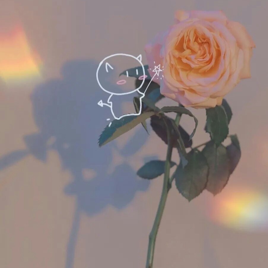 各个学科的温柔文案