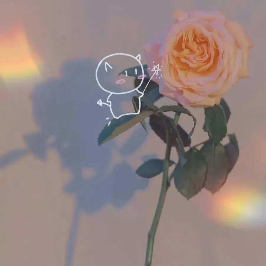 各个学科的温柔文案