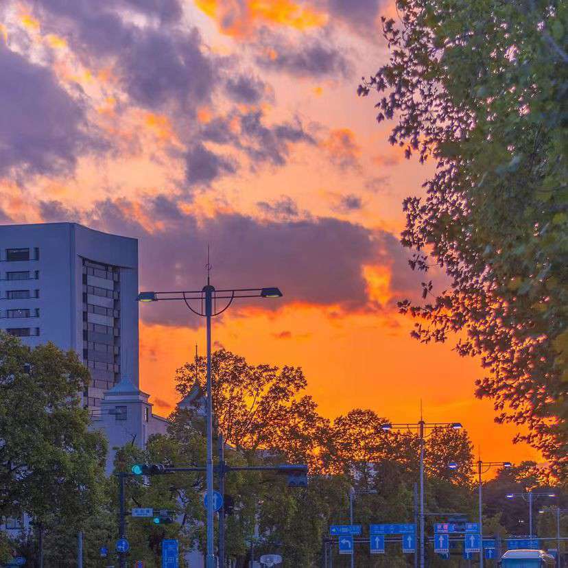 星辰奈叹寞情心