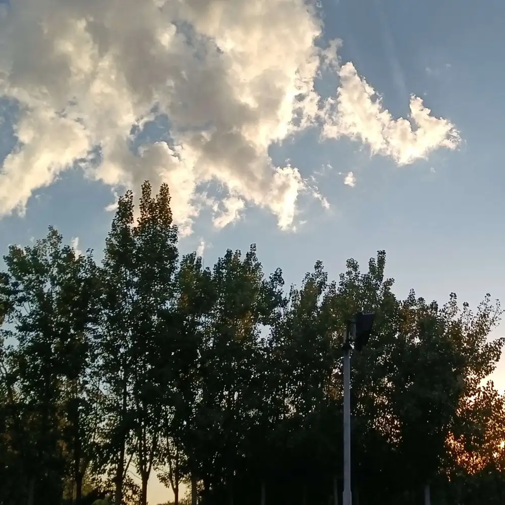 只有经历过，才懂得释怀