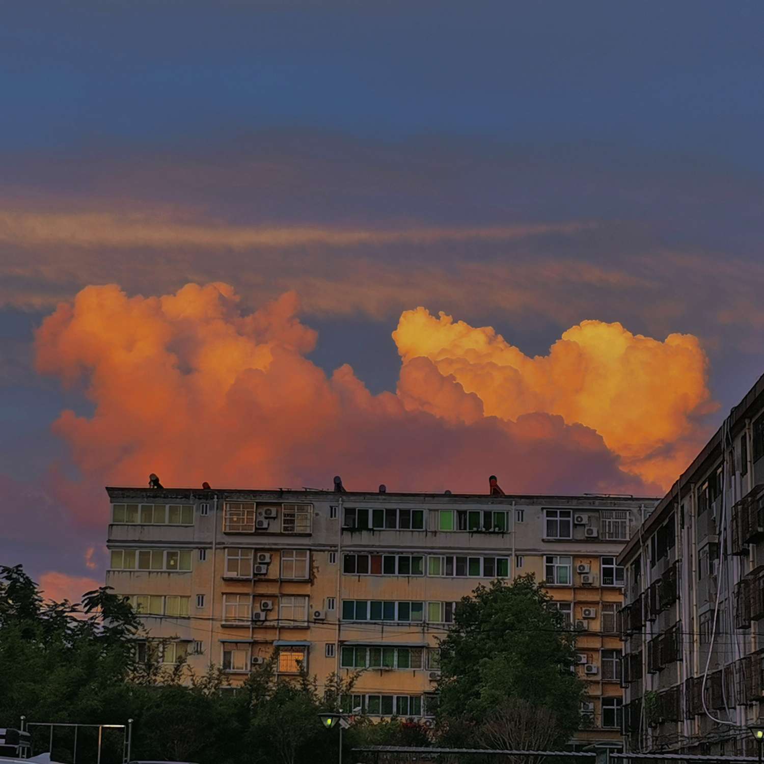 我曾有幸遇见的评论