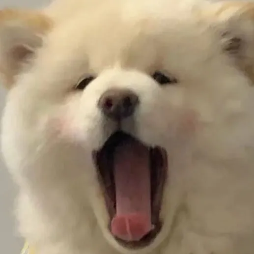 bunchao