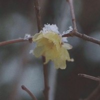 跪求励志梦想短句🙏🙏