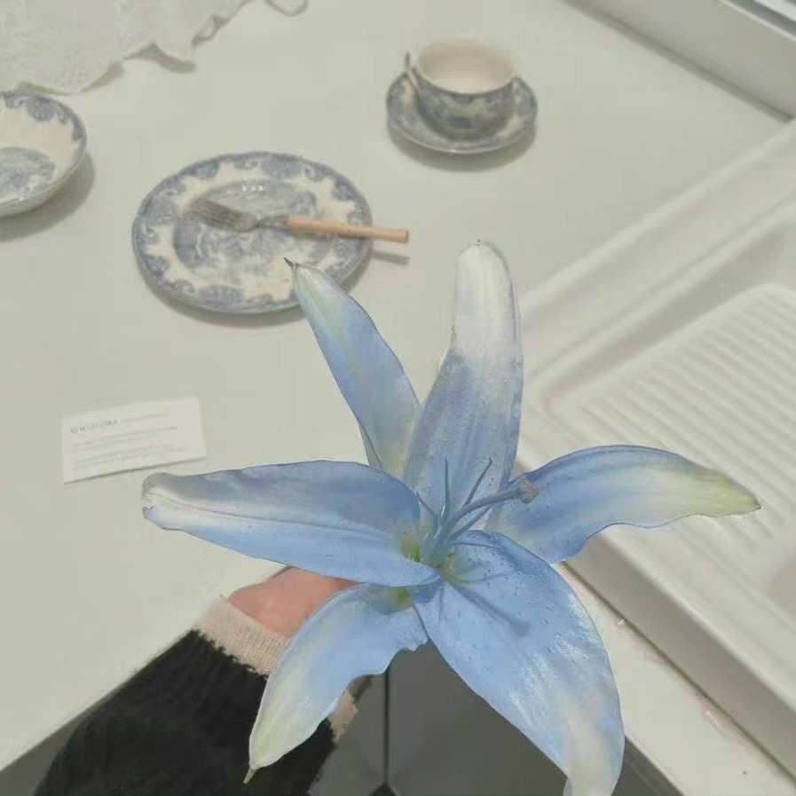 人生太苦，多加点糖