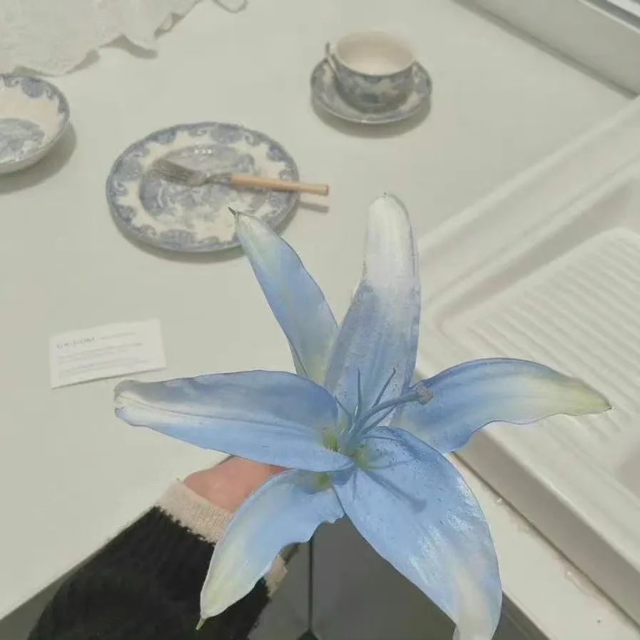 人生太苦，多加点糖