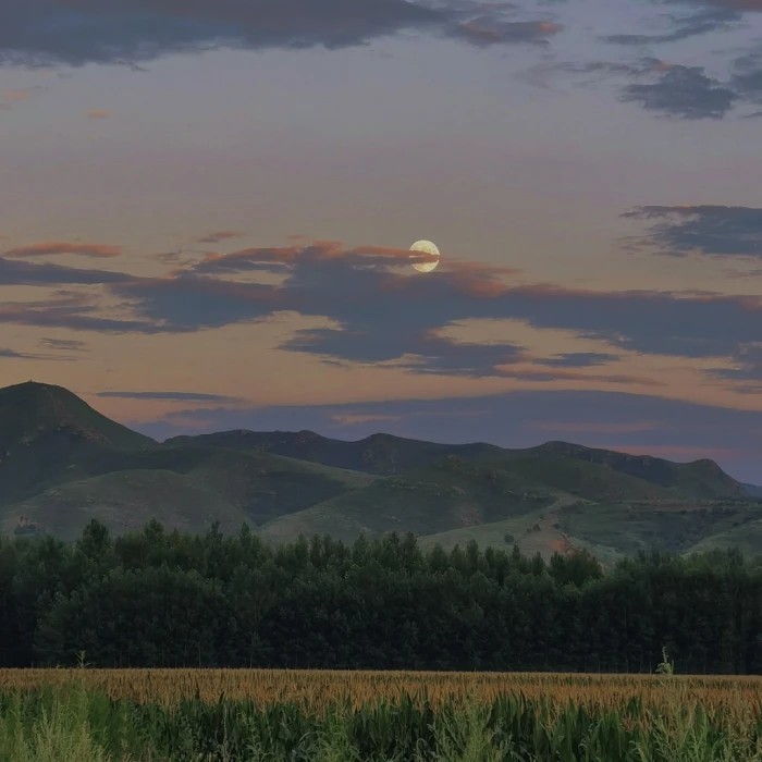 有关生活和远方还有梦想