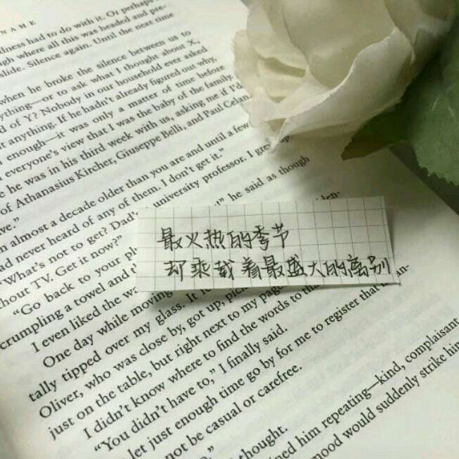 此去经年  晚安晚安