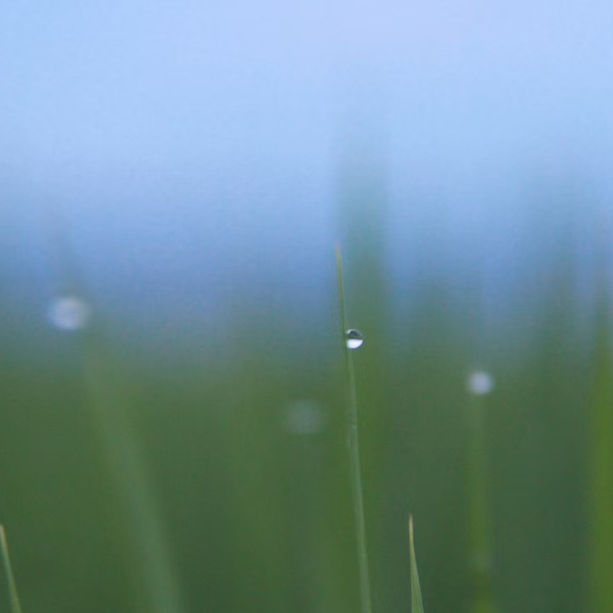 最爱古诗词（谢脁篇）