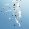 随性