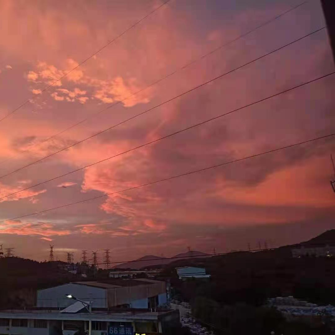 试用于作文之中