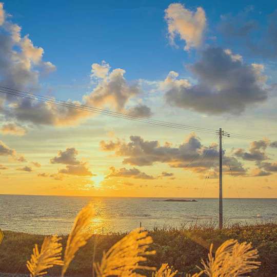 那些喜欢的小句子