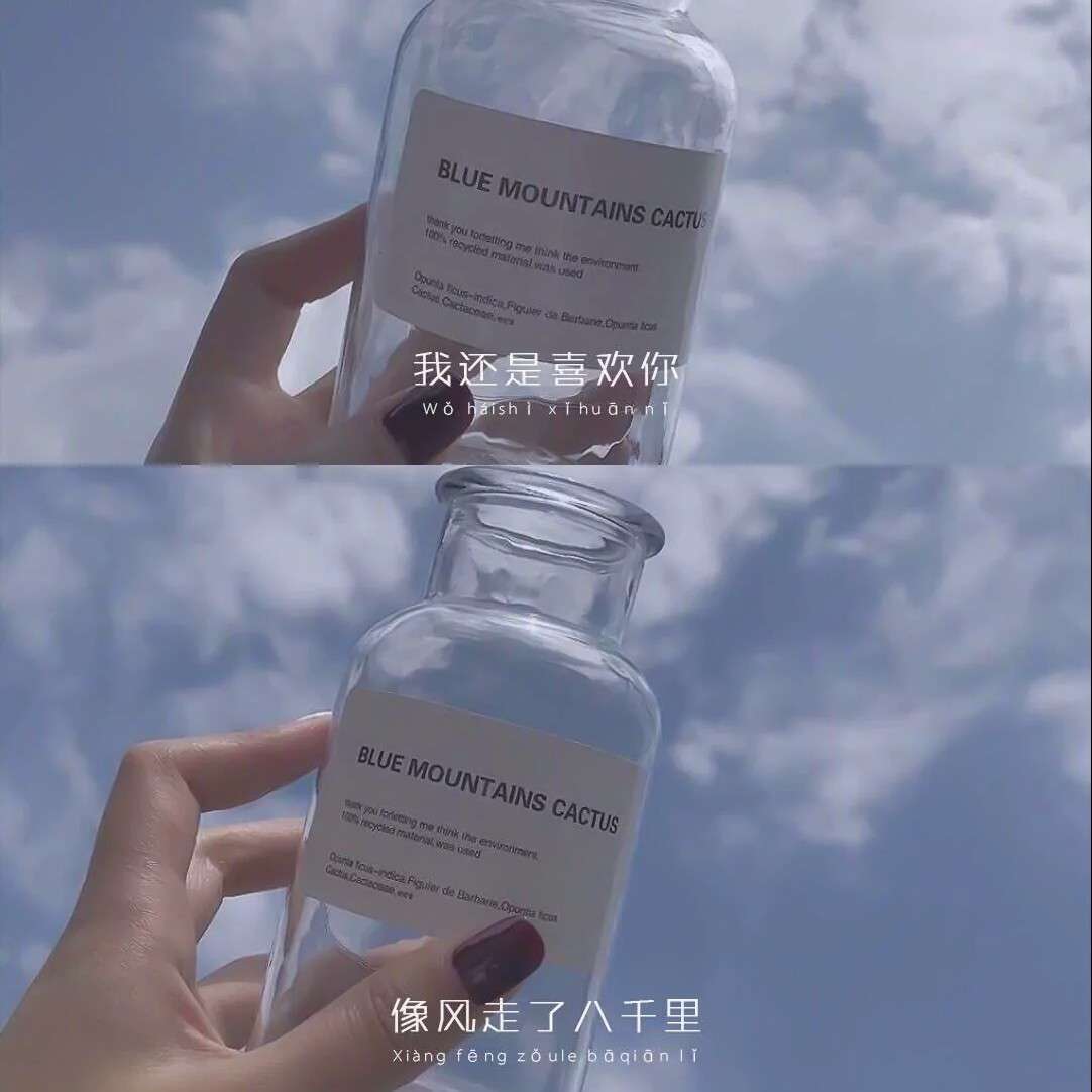 一眼就能记住的句子