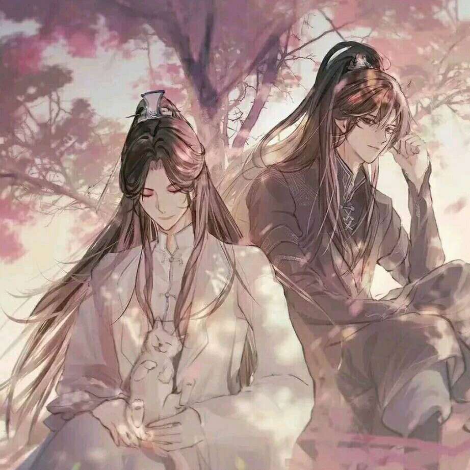 二哈和他的白猫师尊