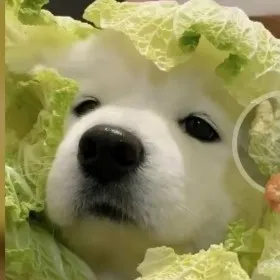 一个有灵魂的人