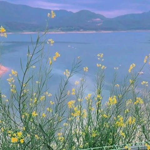 春已暮，芳菲已入夏