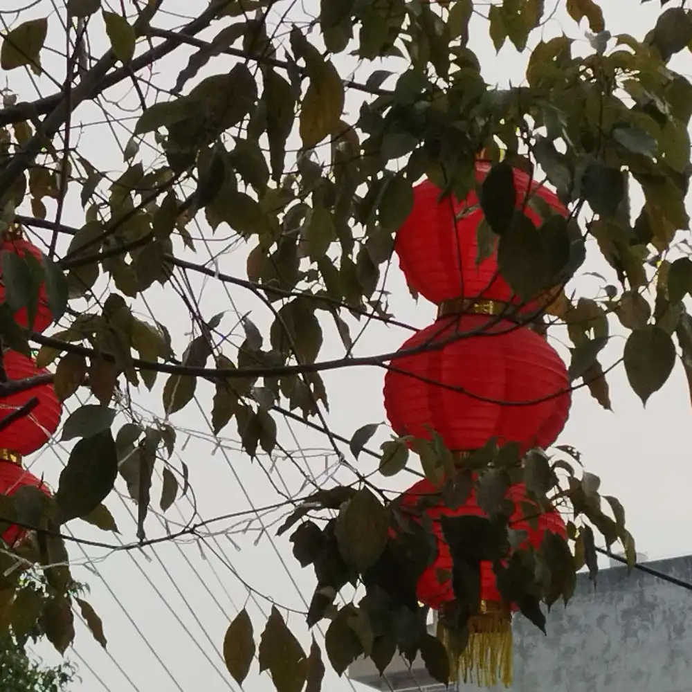 好句好词