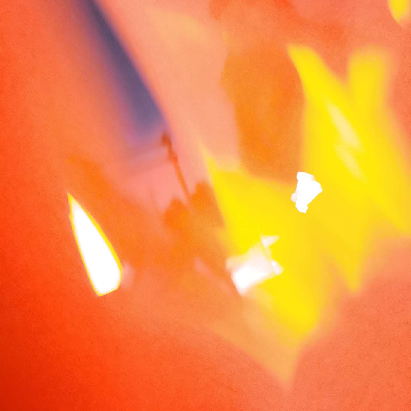 我对世界说的话（原创）