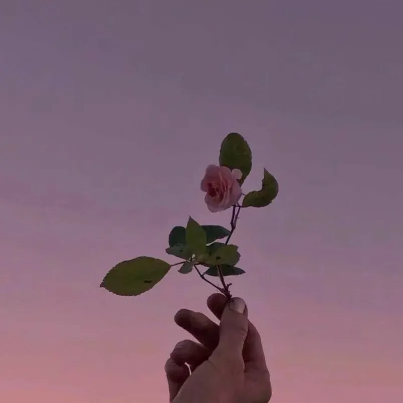 我的经验