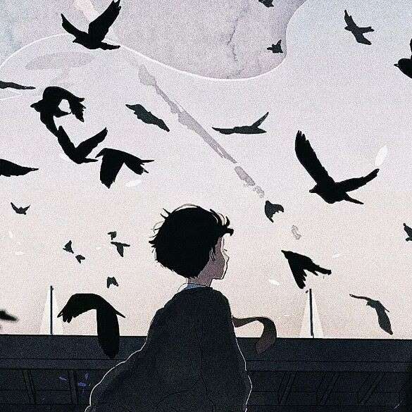 坠入梦里🦄的专辑