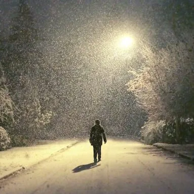 孤独是孤独者的墓志铭