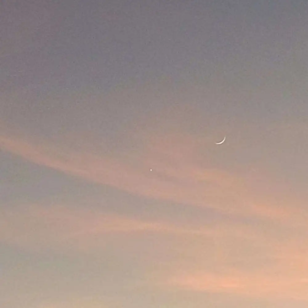 🌙