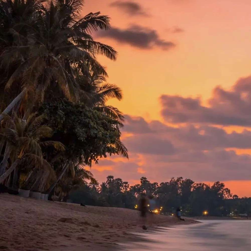 月亮被我收买了的专辑