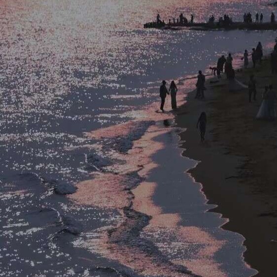 玩玩