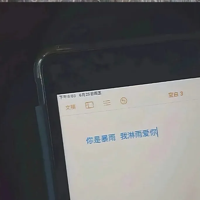 你是暴雨，我淋雨爱你。