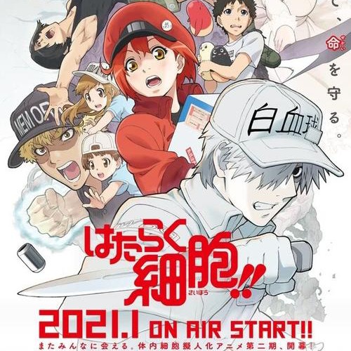 《工作细胞》摘录