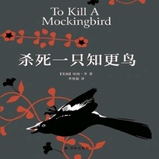 《杀死一只知更鸟》摘抄