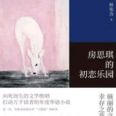 《房思琪的初恋乐园》摘抄