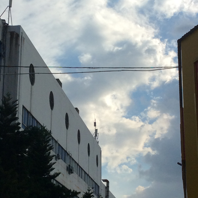 光明于低头的一瞬