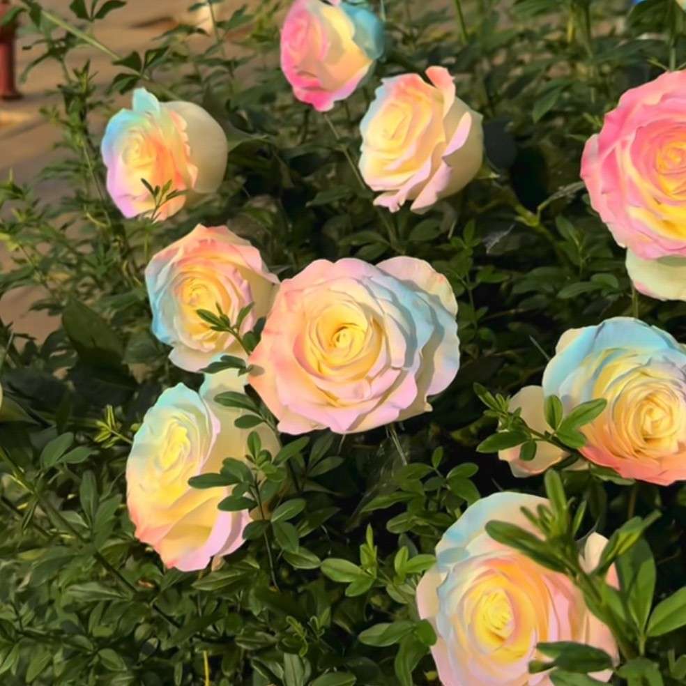 喜欢是评判，爱是撑腰