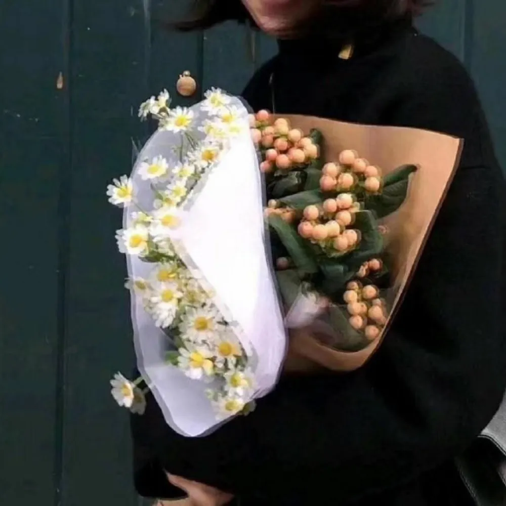 理性.