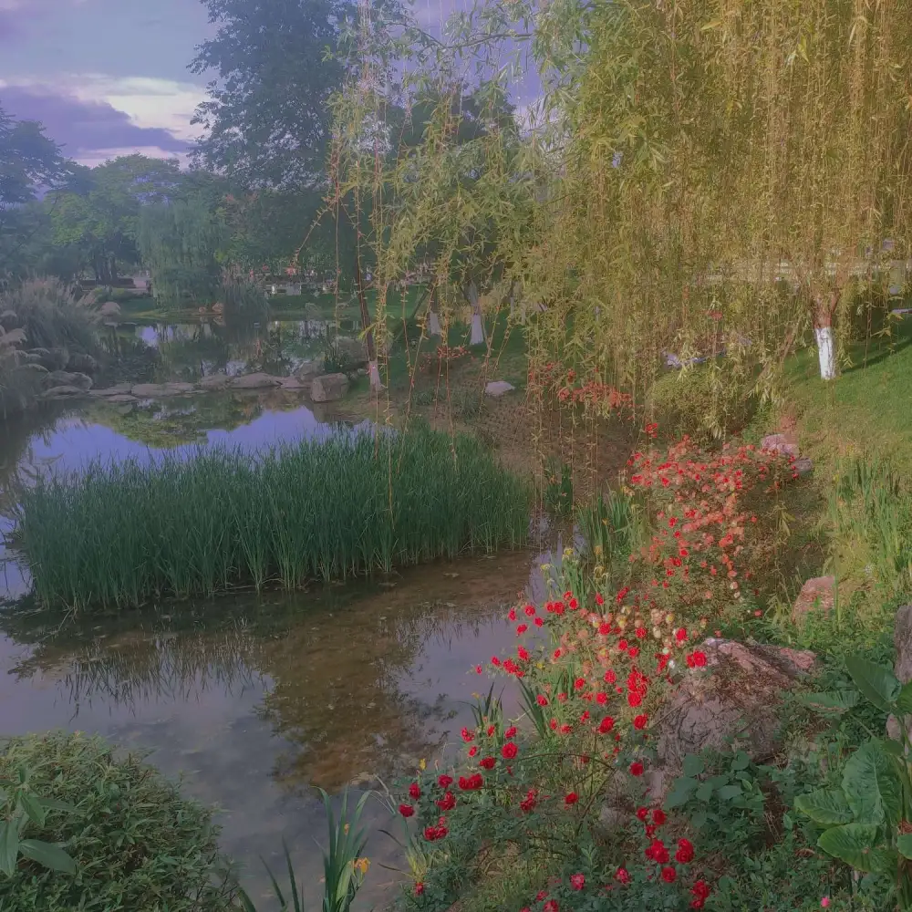 做梦都想要自己开心