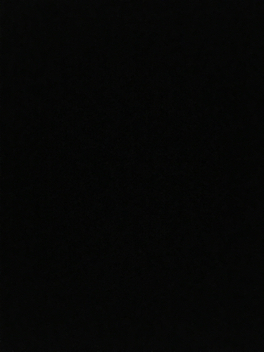 积累句子（作业）