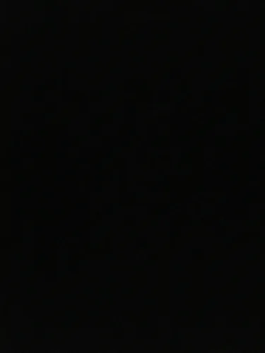 积累句子（作业）