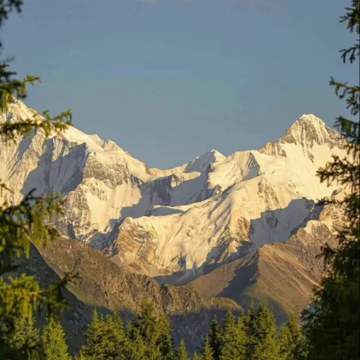 一些能让人深夜emo的句子