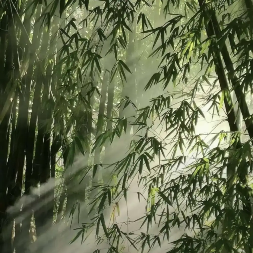 安慰别人的句子