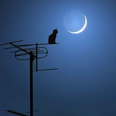 一面湖水的专辑