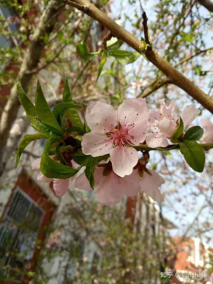 情感、成长、故事