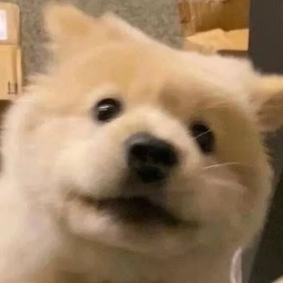 奥兰多