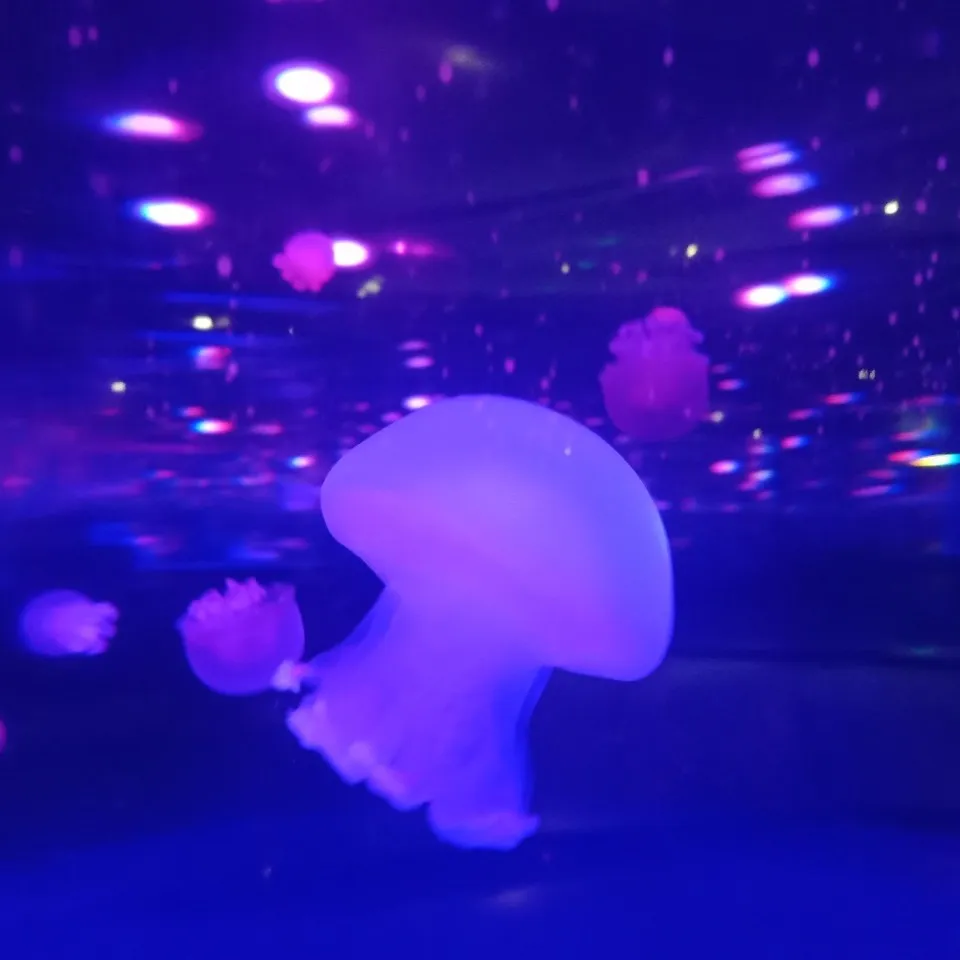 鲁迅